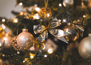 buy christmas trees in wimborne